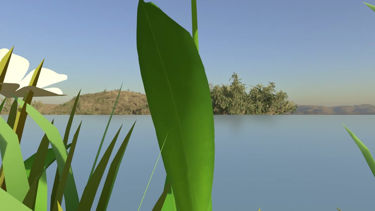 Still 2 from Lakeside